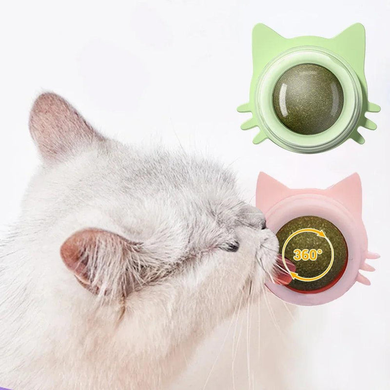 GatoGiro - Catnip WallPlay - Wolrd Dispenser