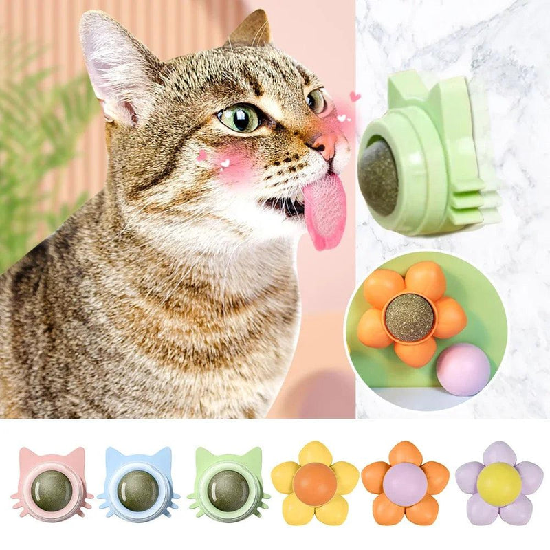 GatoGiro - Catnip WallPlay - Wolrd Dispenser